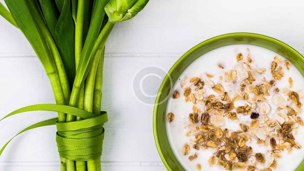 O Que é um Plano Alimentar?